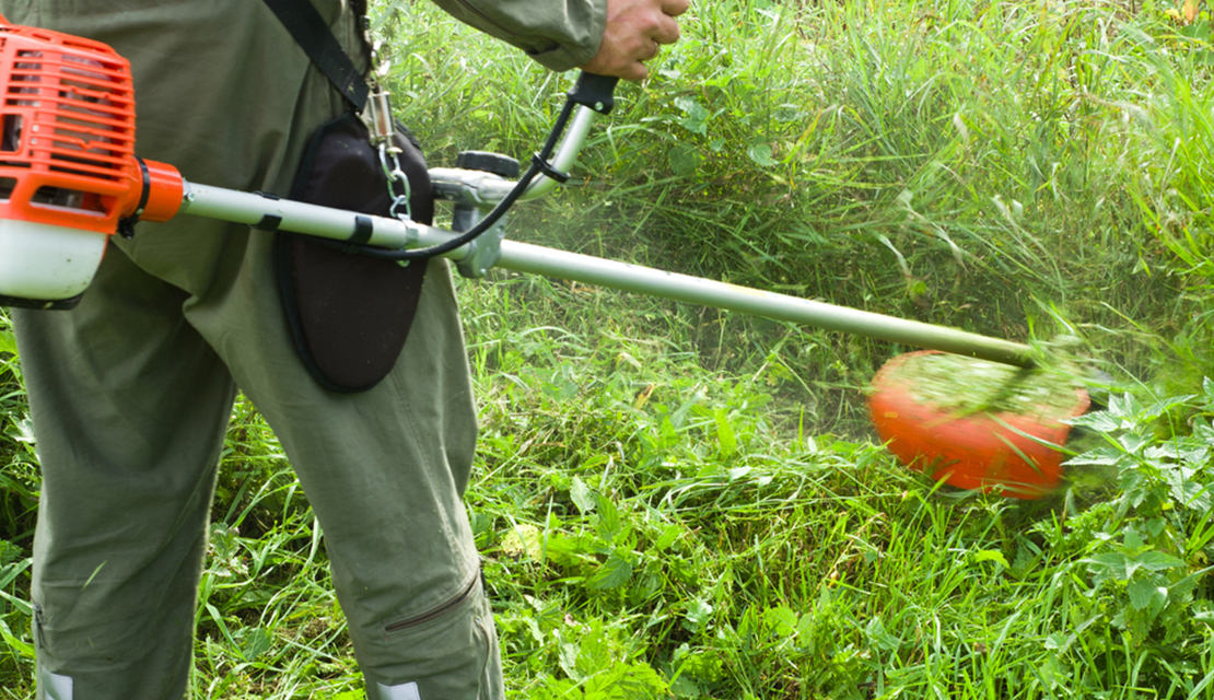grass cutting melbourne